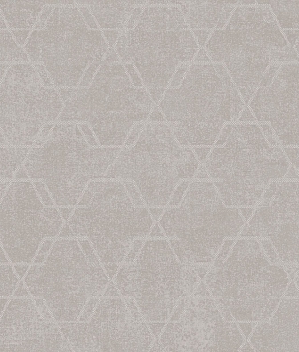 ���� Brewster Evolution 4 BWE04203