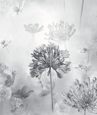 ���� Arthouse Options 3 697401