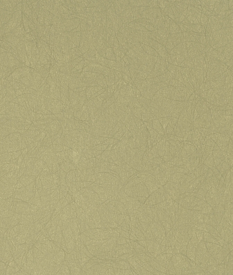 ���� Bernardo Bartalucci Legend 5068-45