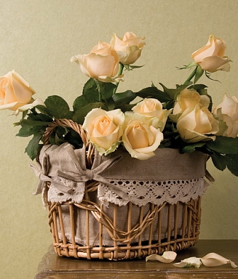 ���� Loymina Satori 2 R5 006