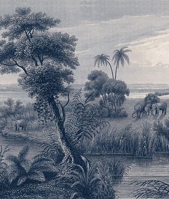 ���� Rasch Lirico 556117