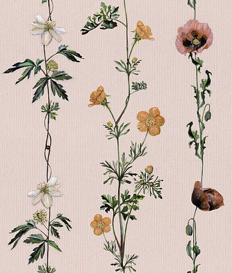 ���� Coordonne Naturae 9500061V