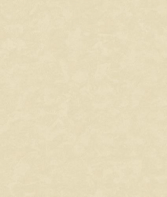 ���� Bernardo Bartalucci Gabriella 84134-8