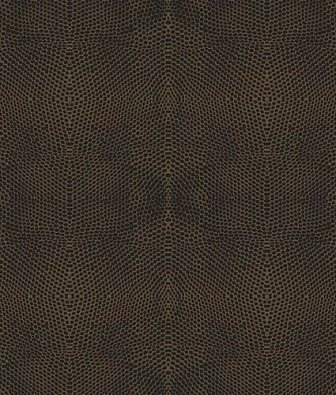  ProSpero Raw Elegance 343-347322