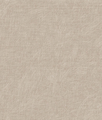 ���� Brewster Evolution 4 BWE04508