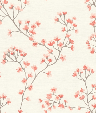 ���� Rasch Beltesto 792720