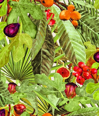 ���� Coordonne Metamorphosis 8800007