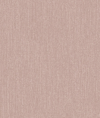 ���� Brewster Evolution 5 BWE05605