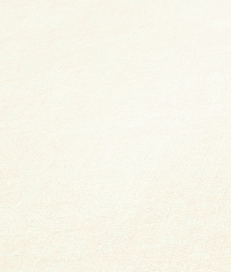 ���� AS Creation Original View 34248-2