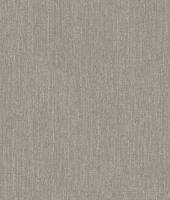 ���� Brewster Evolution 3 BWE03617