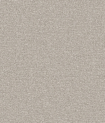 ���� Brewster Evolution 5 BWE05602