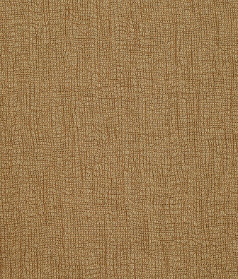 Anthology Mesh 132122