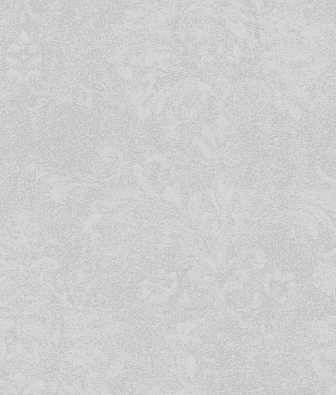 ���� Brewster Evolution 7 BWE070701