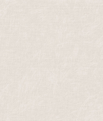 ���� Brewster Evolution 4 BWE04505