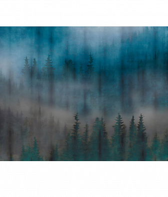 ���� Brewster New Creator 5 CBY167