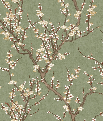 Aura Spring 1903-4