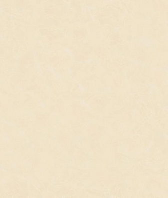 ���� Bernardo Bartalucci Renzo 84165-5