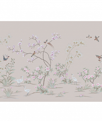 ���� Brewster New Creator 5 CBY052