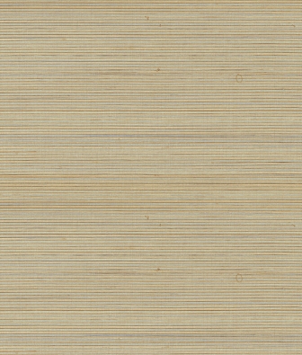 ���� Brewster Signature 3 BSS104A