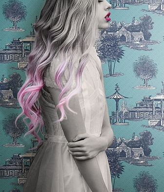  York Ashford House Toiles 2 AF1919