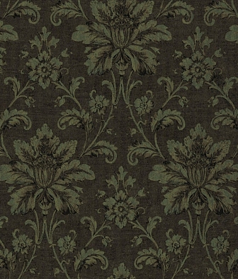 ���� Brewster Evolution 2 BWE02101