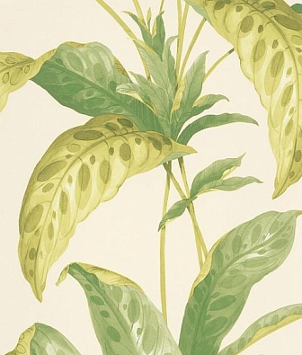 ���� Paint & Paper Library Botany 0360TRCHELS