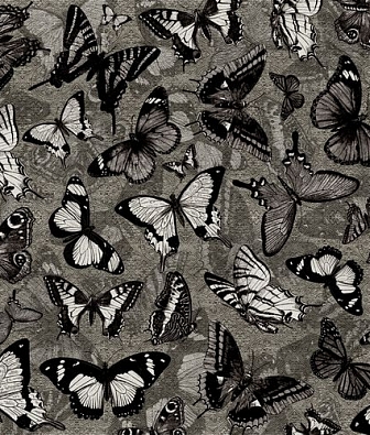 ���� Wall & deco Life 15 WDCM0502