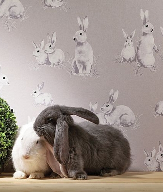 ���� Milassa Twins Twins1 005