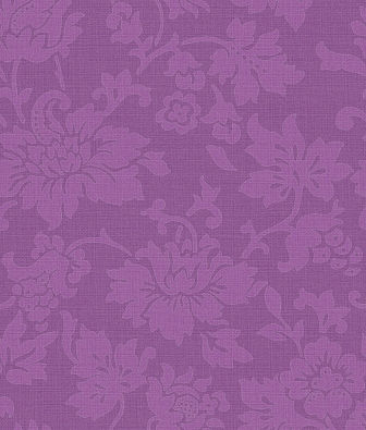 ���� Hohenberger Aquea 64019