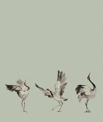 ���� Marburg Crush Motion 63441