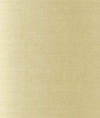 ���� KT-Exclusive Swatch FX90505