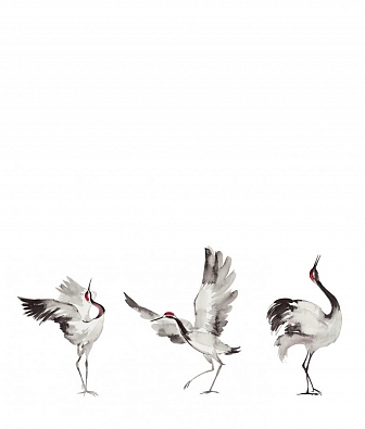 ���� Marburg Crush Motion 63440