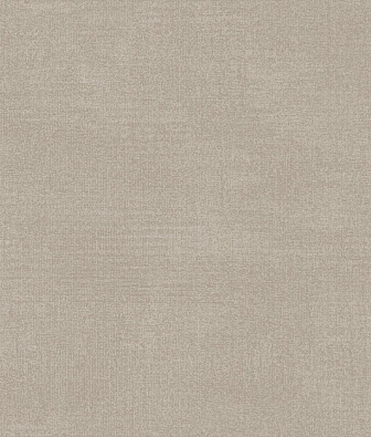 ���� Brewster Evolution 1 BWE01527