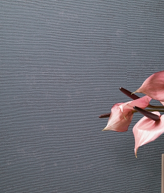 ���� Marburg The new Bombay 30109