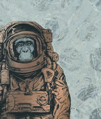  KT-Exclusive Vanilla Lime 014213 SPACE MONKEY