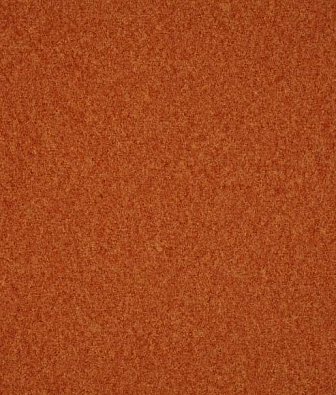 Scion Plains Ten 131835