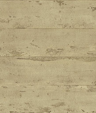 ���� Carl Robinson Edition 14 CR60306