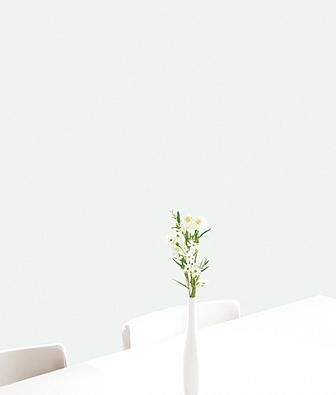 ���� Andrea Rossi Cheradi 54393-7