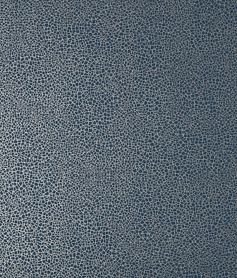  1838 Wallcoverings Elodie 1907-141-01