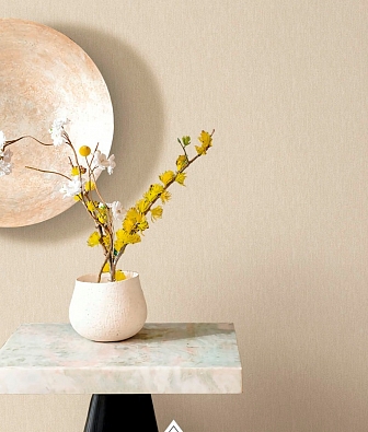 ���� Brewster Evolution 5 BWE05608