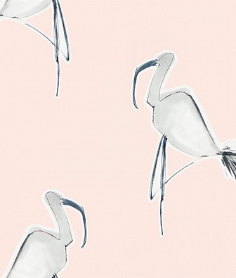 ���� Scion Zanzibar 111999