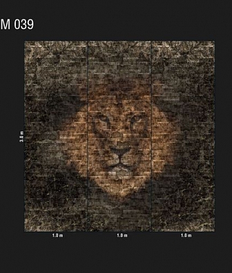 ���� Loymina Illusion DM 039