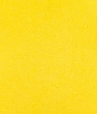 ���� Eijffinger United 331324