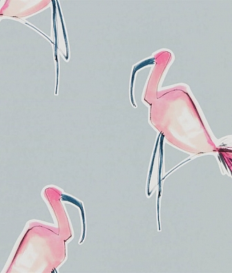 ���� Scion Zanzibar 112000