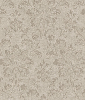 ���� Brewster Evolution 2 BWE02105