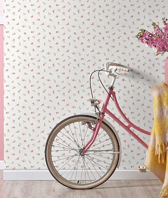 ���� Aura Pippo 455-1