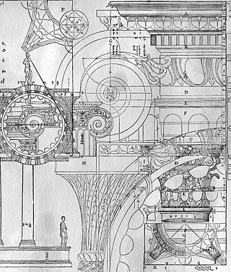 ���� Wall & deco 2016 WDAN1601