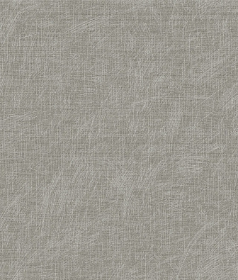 ���� Brewster Evolution 3 BWE03404