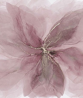 ������ La Stanza Tesoro 01751-G