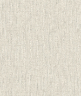 ���� Brewster Evolution 11 R25304Q